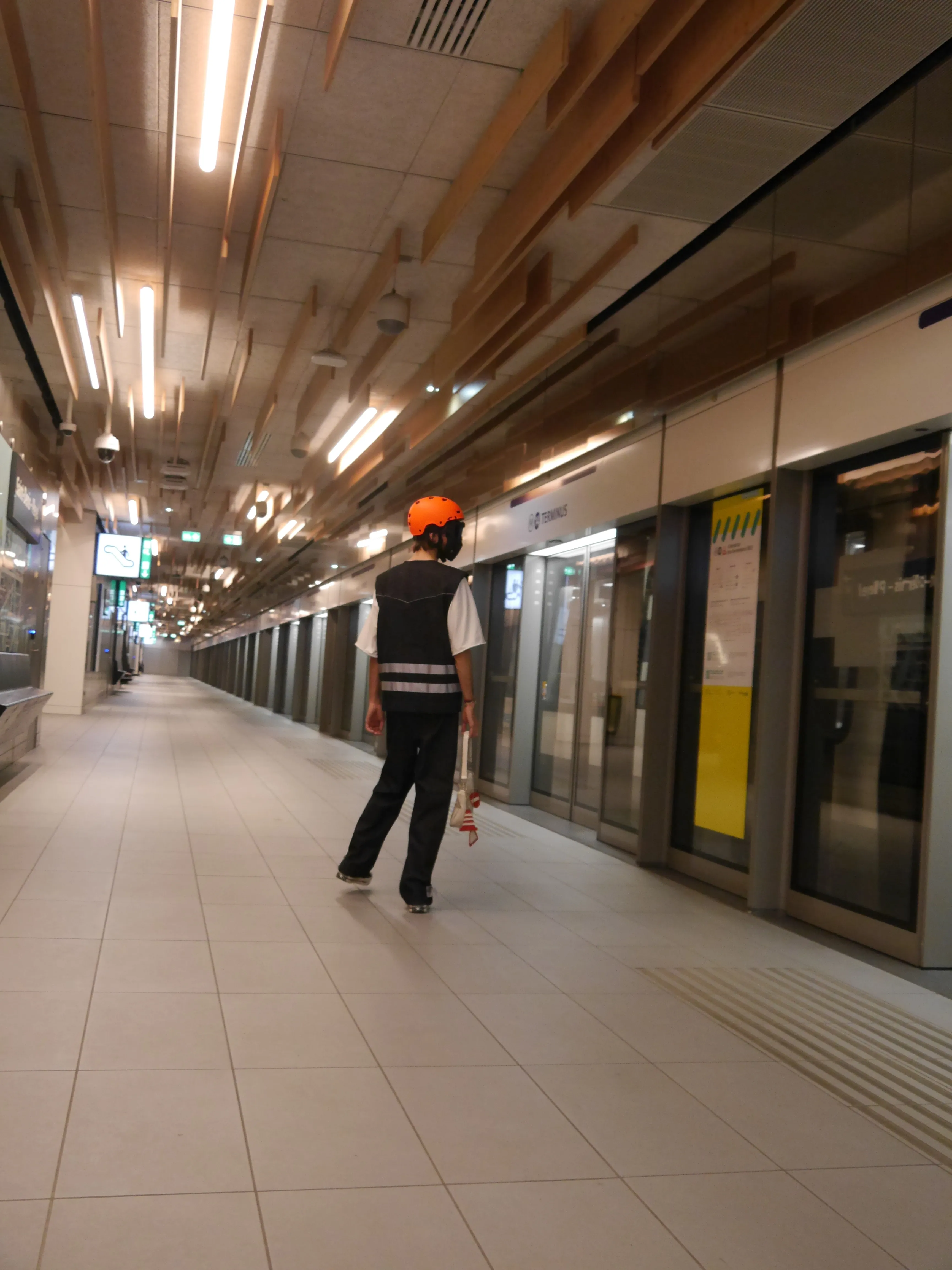 safetyvestinalittlebitlessugly 11